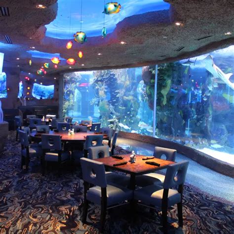 I read the <b>reviews</b> and there appears to be some mix-ups. . Aquarium restaurant reviews